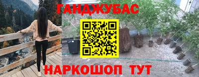 не бодяженный Кингисепп