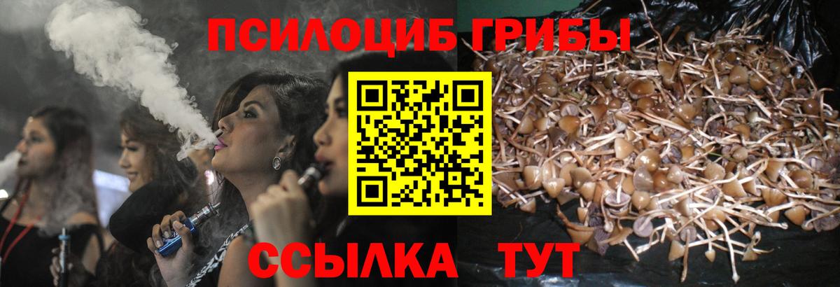 Псилоцибиновые грибы мухоморы  Вход с VPN  Красноярск  Псилоцибиновые грибы мухоморы 